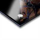 BZ9 4165 Enhanced NR Acrylic print