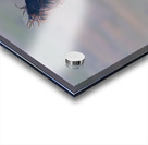 BZ9 9623 Enhanced NR 2 Acrylic print