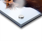 BZ9 0026 Enhanced NR 2 Acrylic print