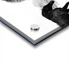 BZ9 4246 Enhanced NR Acrylic print