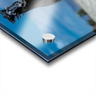 BZ9 4565 Enhanced NR Acrylic print