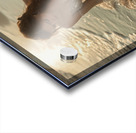 u3797829577 a beautiful mermaid washed up in the Acrylic print