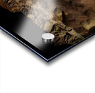 BZ9 0076 Acrylic print