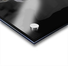 02012023 mustangs 5479 Enhanced NR Acrylic print