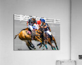 BZ9 2816 Enhanced NR Acrylic Print