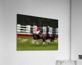 BZ9 2625 Enhanced NR Acrylic Print