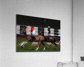 BZ9 2622 Enhanced NR Acrylic Print