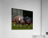 BZ9 2621 Enhanced NR Acrylic Print