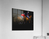 BZ9 2937 Enhanced NR Acrylic Print