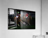 BZ9 1444 Enhanced NR Acrylic Print