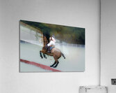 BZ9 4651 Enhanced NR Acrylic Print