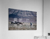 BZ9 5406 Enhanced NR Acrylic Print