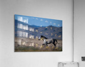 BZ9 4323 Enhanced NR Acrylic Print