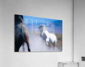 BZ9 9220 Enhanced NR Acrylic Print