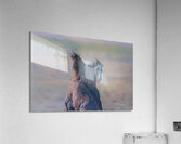 BZ9 9623 Enhanced NR 2 Acrylic Print