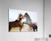 BZ9 0026 Enhanced NR 2 Acrylic Print