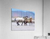 BZ9 3426 Enhanced NR Acrylic Print