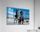 BZ9 4565 Enhanced NR Acrylic Print