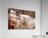 BZ9 4811 Enhanced NR Acrylic Print