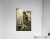 u3797829577 a beautiful mermaid washed up in the Acrylic Print