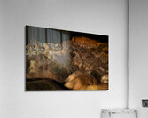 BZ9 0076 Acrylic Print