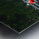 BZ9 2607 Enhanced NR Metal print