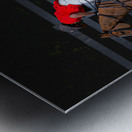 BZ9 2622 Enhanced NR Metal print