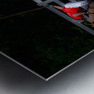 BZ9 2621 Enhanced NR Metal print