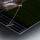 BZ9 9566 Enhanced NR Metal print