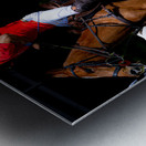 BZ9 1288 Enhanced NR Metal print