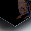 BZ9 4165 Enhanced NR Metal print