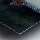 BZ9 4651 Enhanced NR Metal print