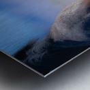 BZ9 9220 Enhanced NR Metal print