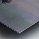 BZ9 9623 Enhanced NR 2 Metal print