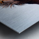 BZ9 0026 Enhanced NR 2 Metal print