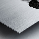 BZ9 4246 Enhanced NR Metal print