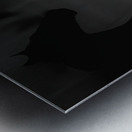 02012023 mustangs 5479 Enhanced NR Metal print