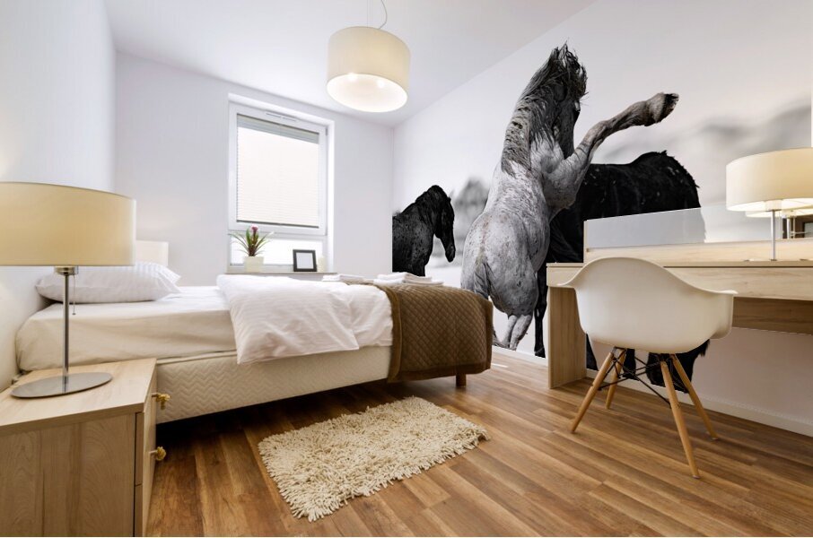 BZ9 4246 Enhanced NR Mural print