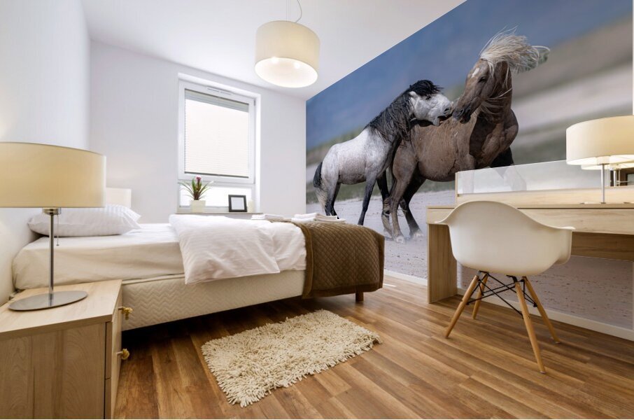 BZ9 3426 Enhanced NR Mural print