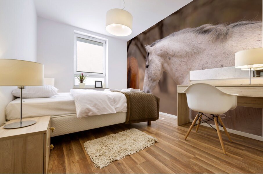 BZ9 4811 Enhanced NR Mural print