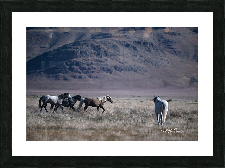 BZ9 5406 Enhanced NR Picture Frame print