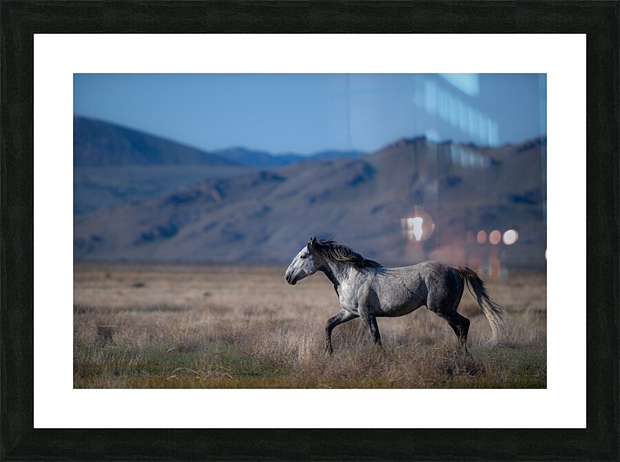 BZ9 4323 Enhanced NR Picture Frame print