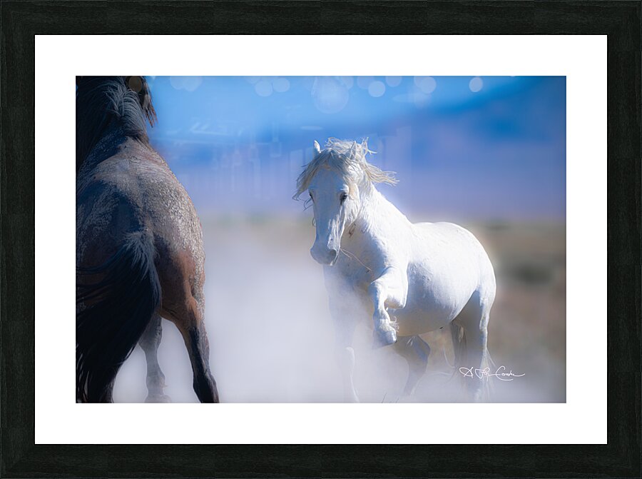 BZ9 9220 Enhanced NR Picture Frame print