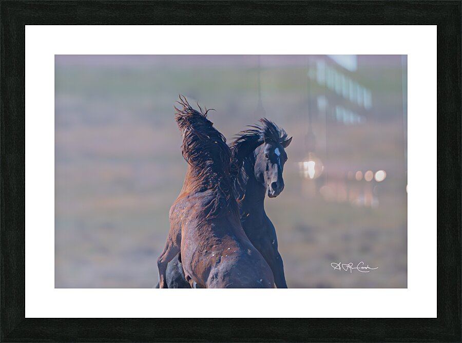 BZ9 9623 Enhanced NR 2 Picture Frame print