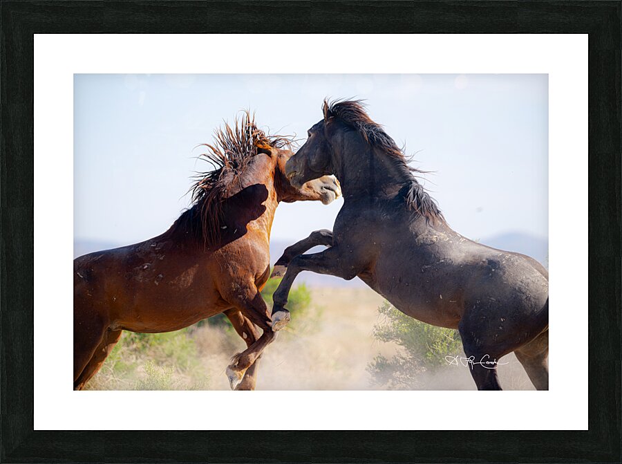 BZ9 0026 Enhanced NR 2 Picture Frame print