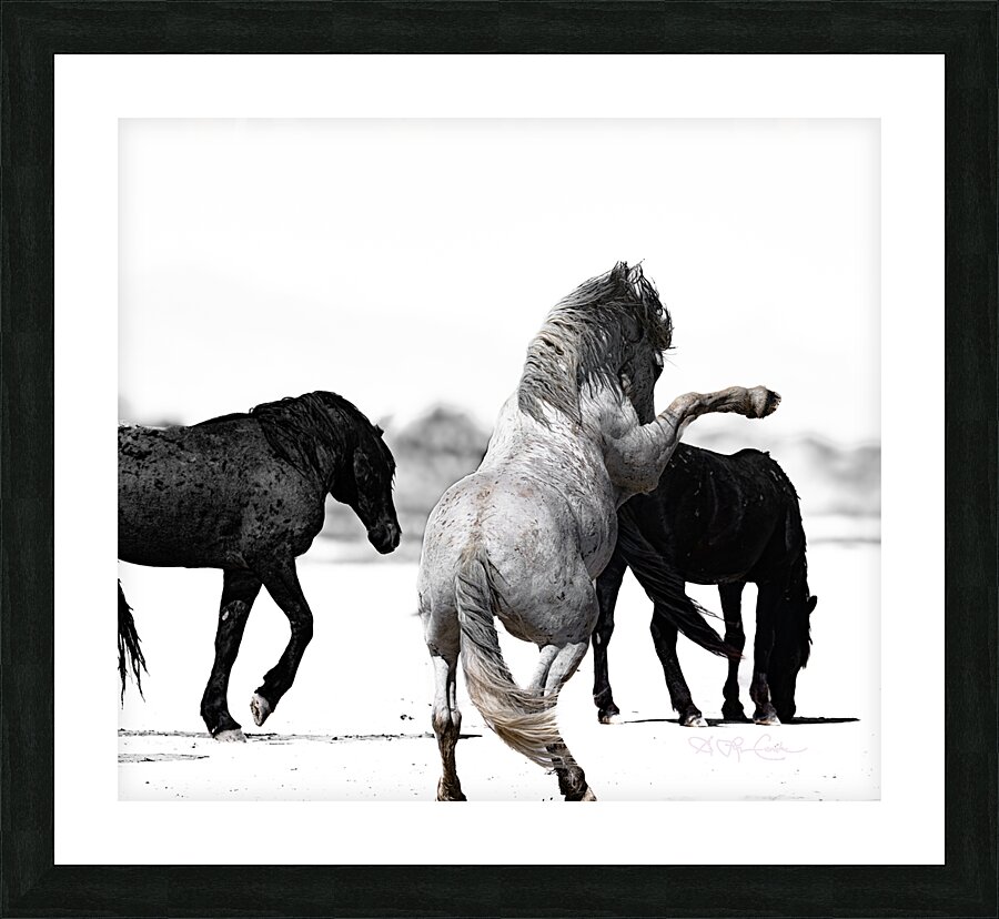 BZ9 4246 Enhanced NR Picture Frame print