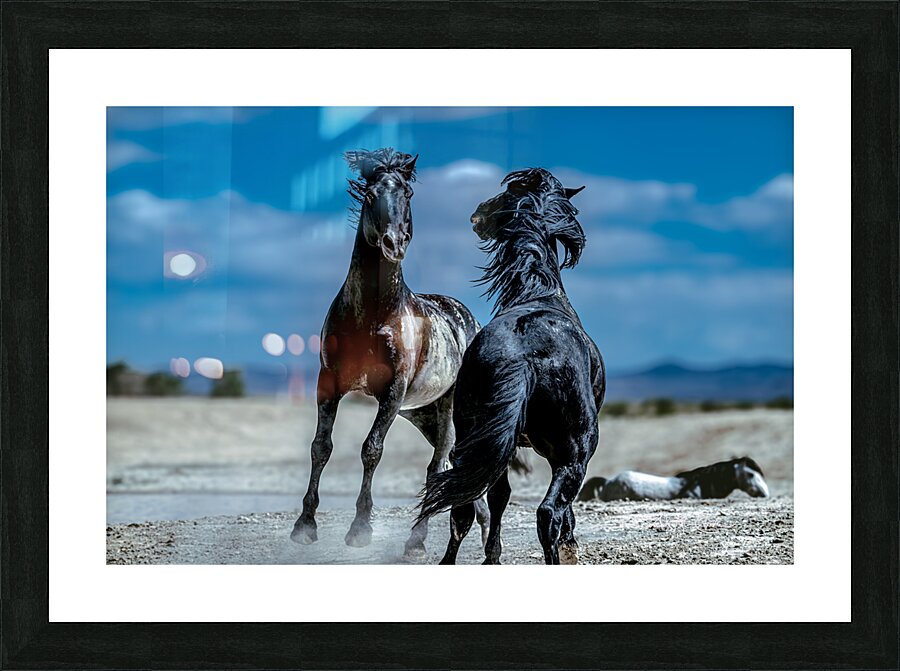 BZ9 4565 Enhanced NR Picture Frame print