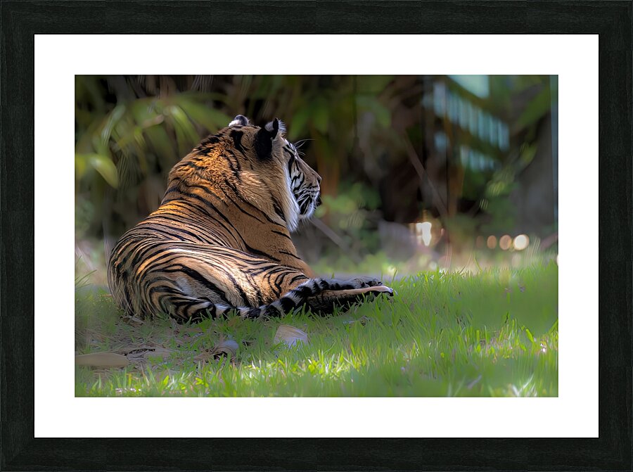 Siesta Picture Frame print