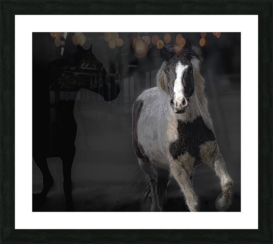 02012023 mustangs 5479 Enhanced NR Picture Frame print