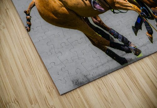 BZ9 2816 Enhanced NR Susan Lynn Cooke puzzle